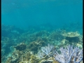 g0262285