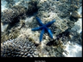 g0392381